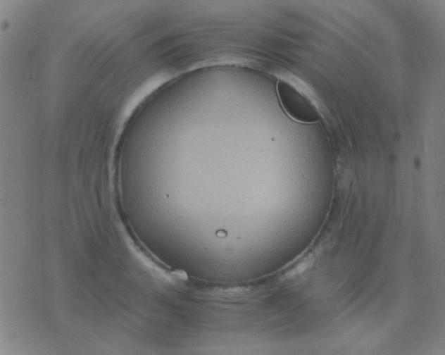 X0000075841135200610061840