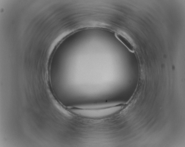 X0000075841136200610061840