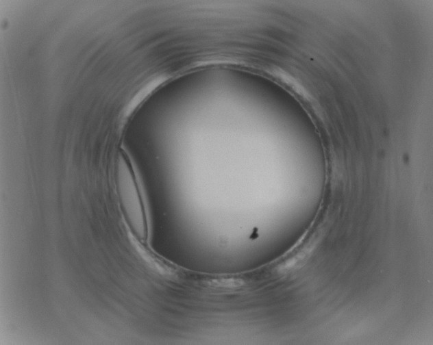 X0000075841137200610061840