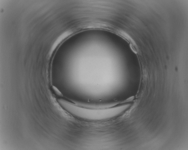 X0000075841138200610061840