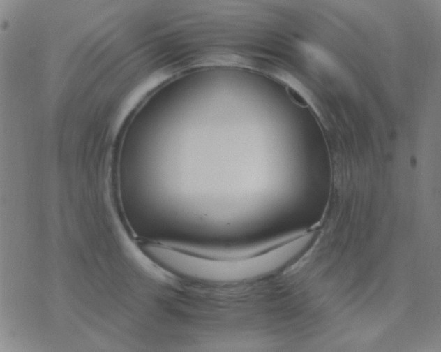 X0000075841139200610061840