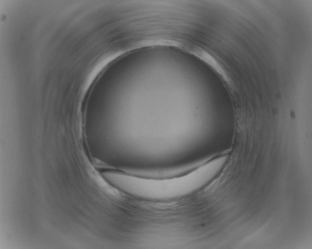 X0000075841140200610061840