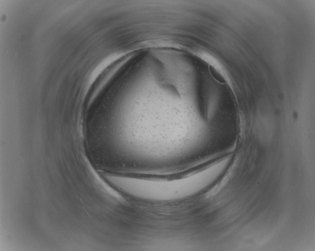 X0000075841141200610061840