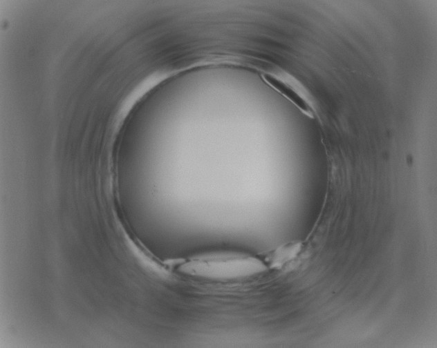 X0000075841143200610061841