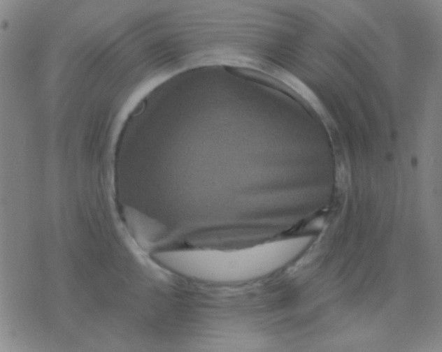 X0000075841144200610061841