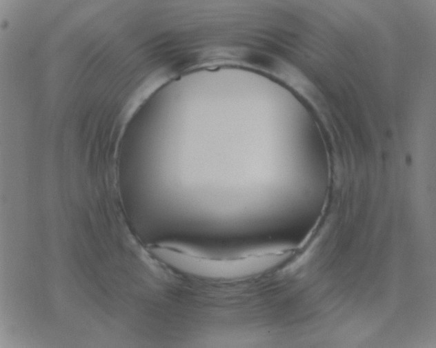 X0000075841145200610061841