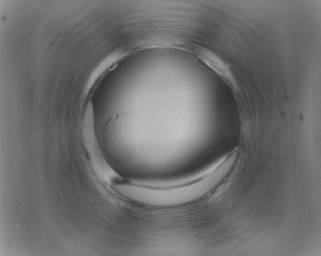 X0000075841146200610061841