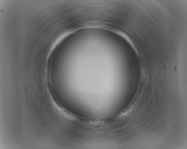 X0000075841147200610061841