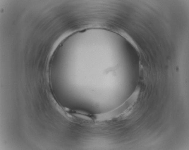 X0000075841148200610061841