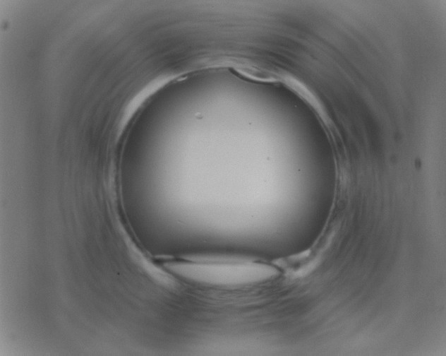 X0000075841149200610061841