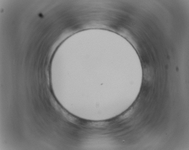 X0000075841150200610061841