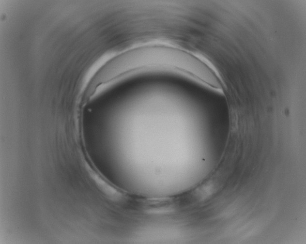 X0000075841151200610061841