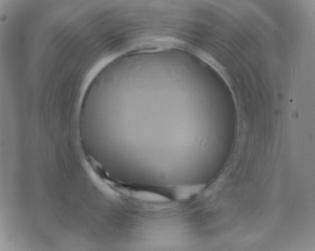 X0000075841152200610061841