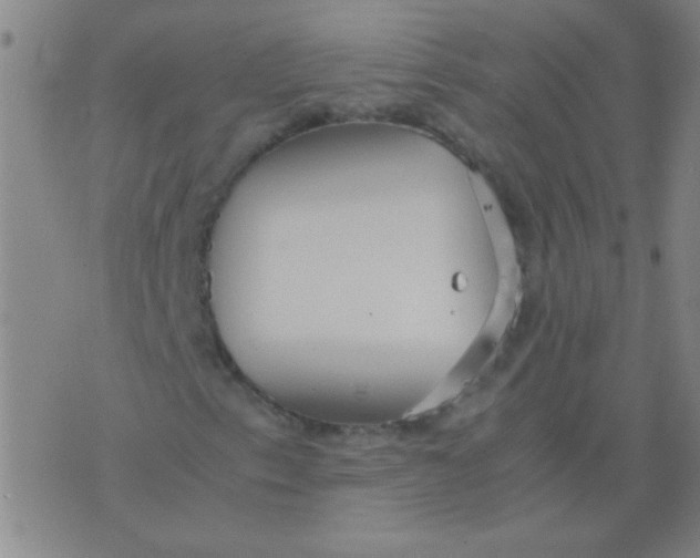 X0000075841153200610061840