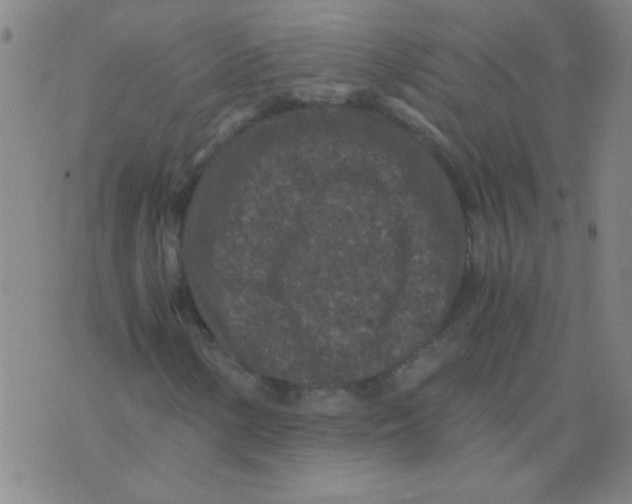 X0000075841154200610061840