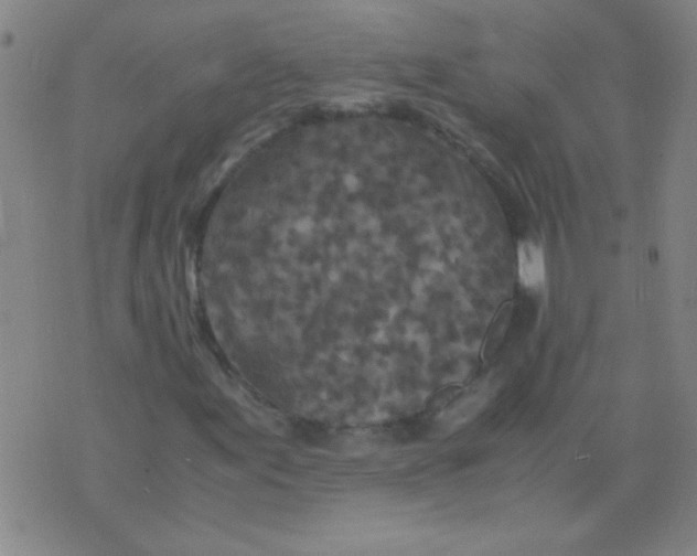 X0000075841155200610061840