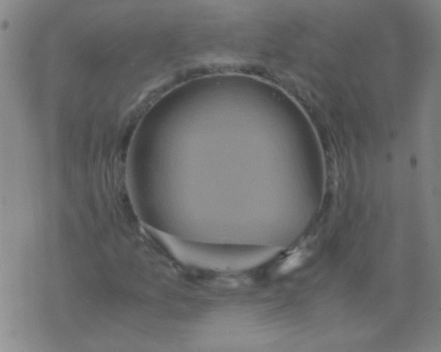 X0000075841157200610061840