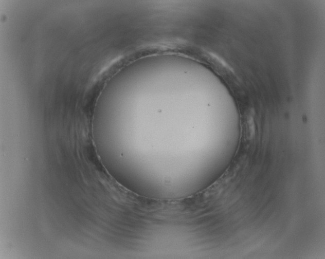 X0000075841158200610061840