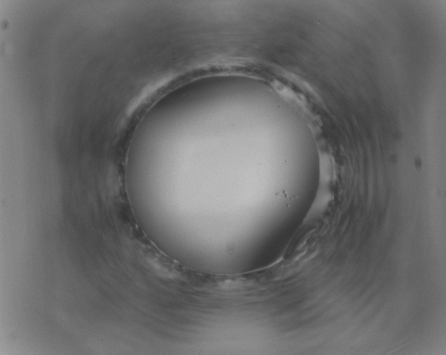 X0000075841160200610061840