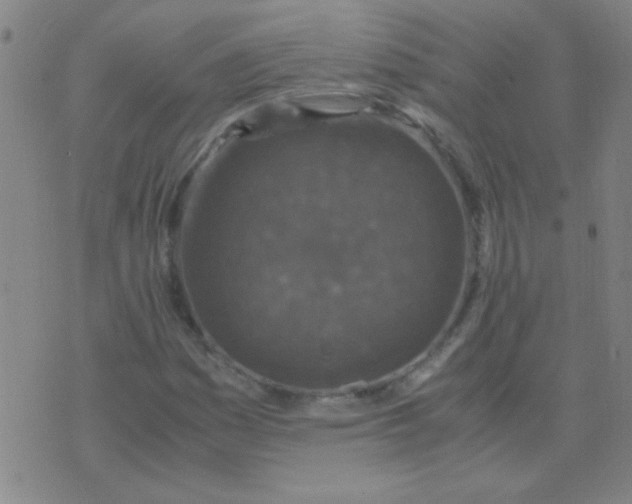 X0000075841161200610061840