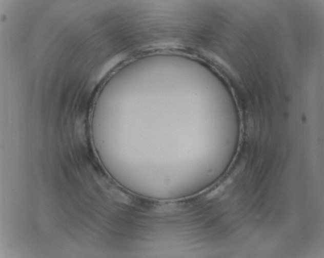 X0000075841162200610061840