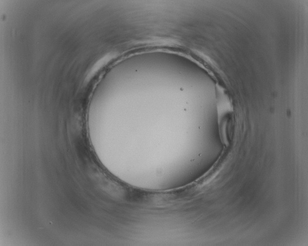 X0000075841163200610061840