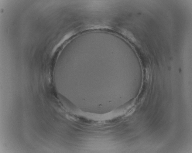 X0000075841165200610061840