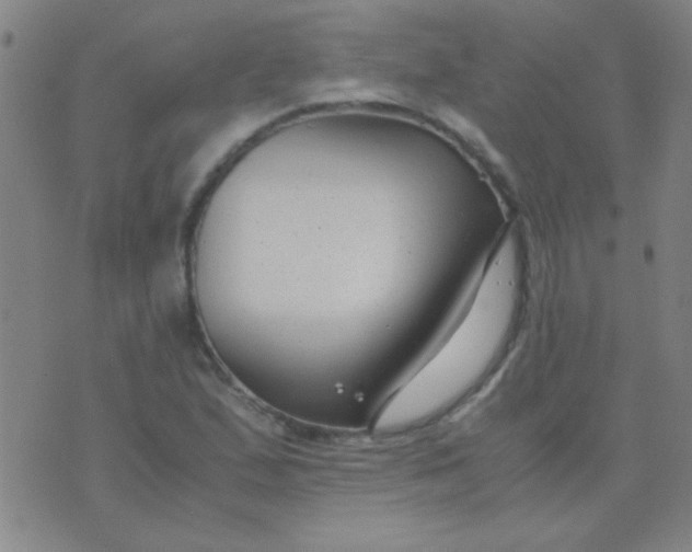 X0000075841167200610061840