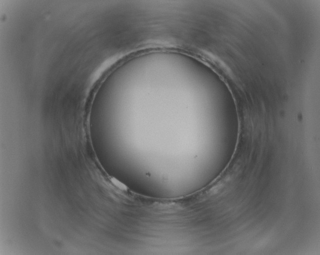 X0000075841168200610061840