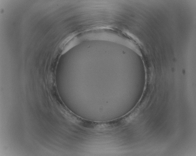 X0000075841169200610061840