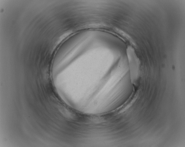 X0000075841170200610061840