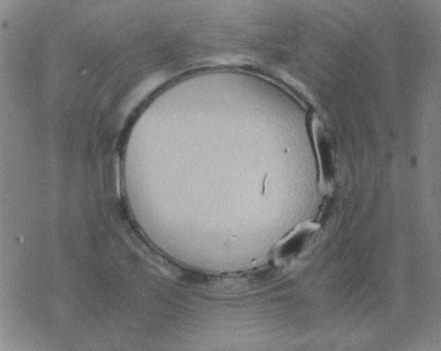 X0000075841171200610061840