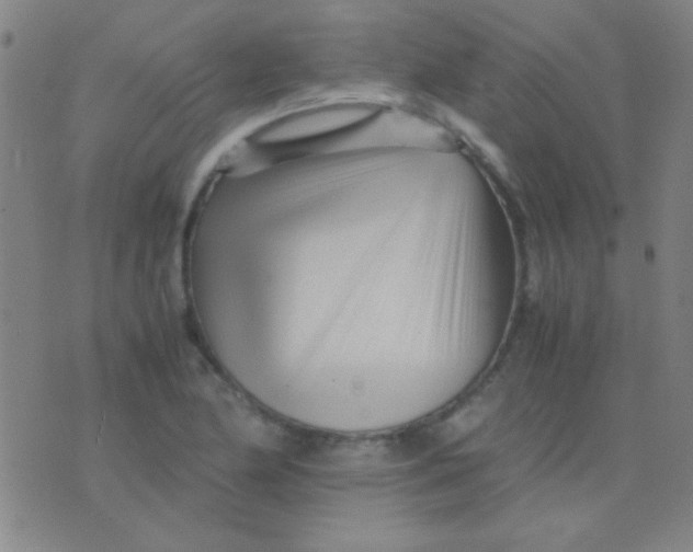 X0000075841174200610061840