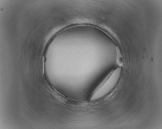 X0000075841175200610061840