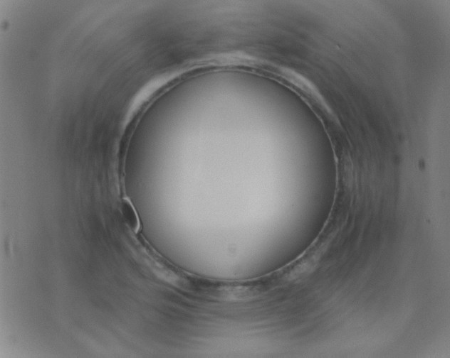 X0000075841176200610061840