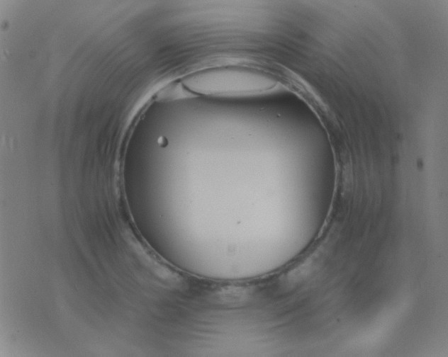 X0000075841178200610061839