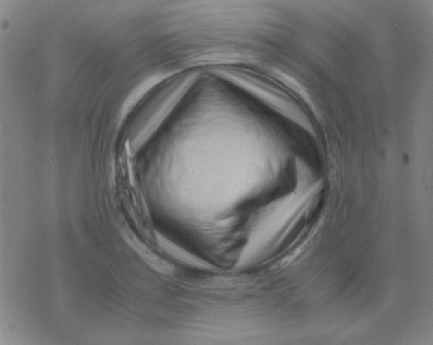 X0000075841179200610061839