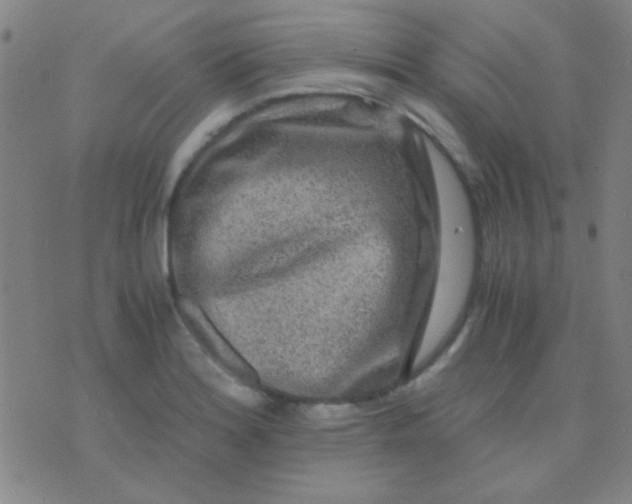 X0000075841180200610061839