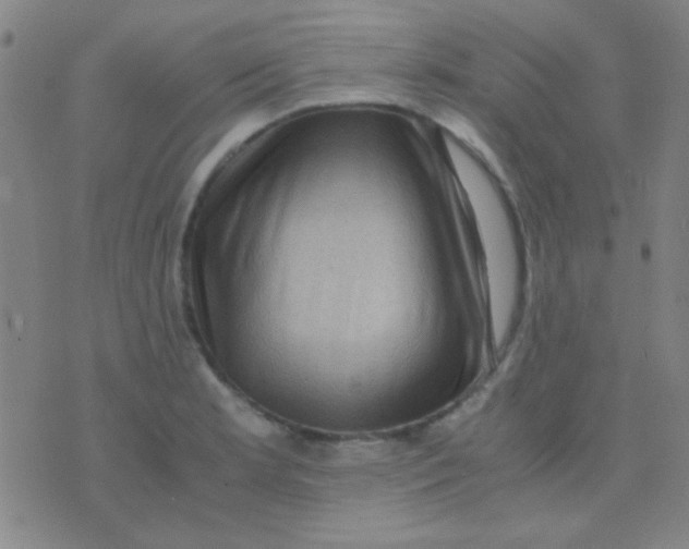 X0000075841181200610061839