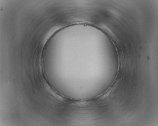 X0000075841182200610061839