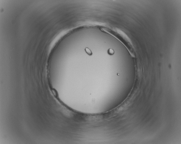 X0000075841183200610061839