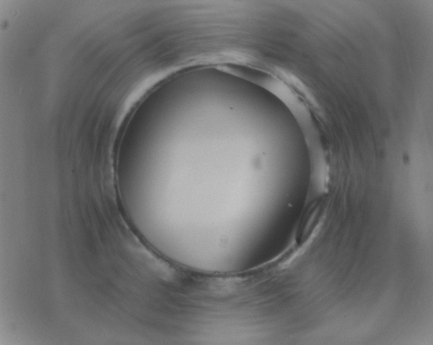 X0000075841184200610061839