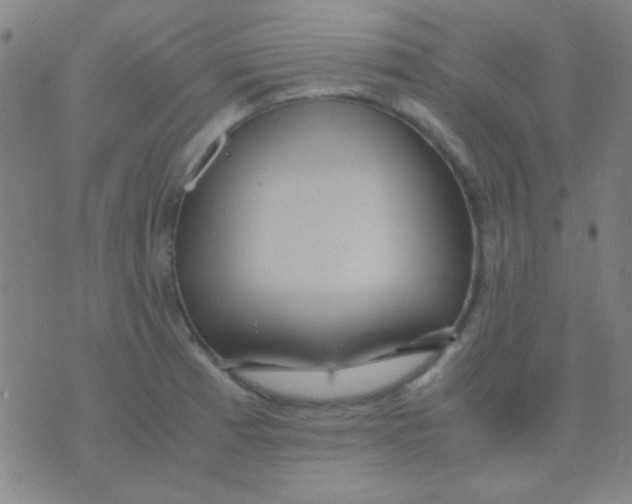 X0000075841185200610061839