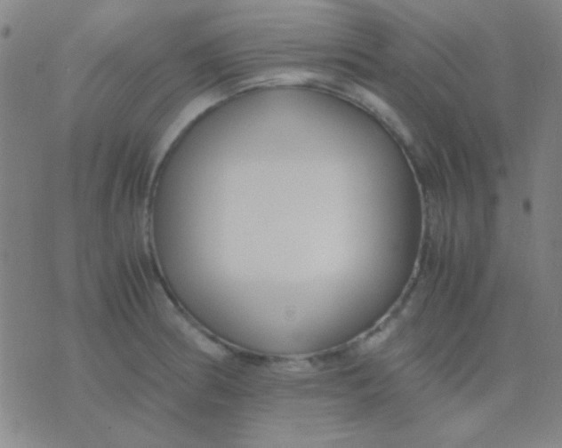 X0000075841186200610061839