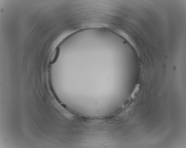 X0000075841187200610061839