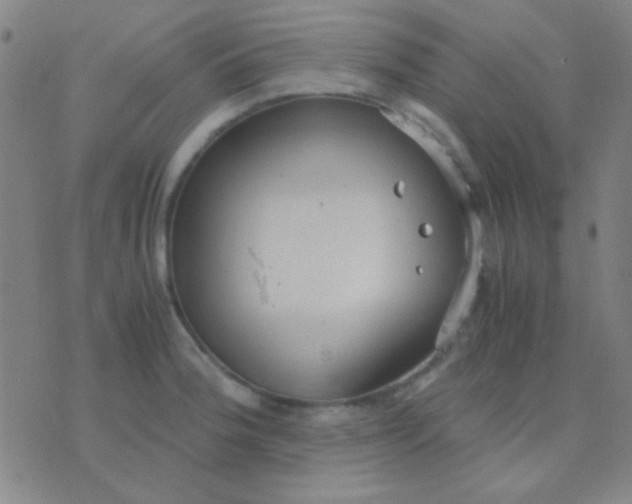 X0000075841188200610061839