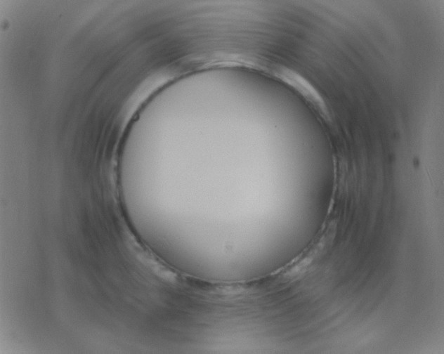 X0000075841190200610061839