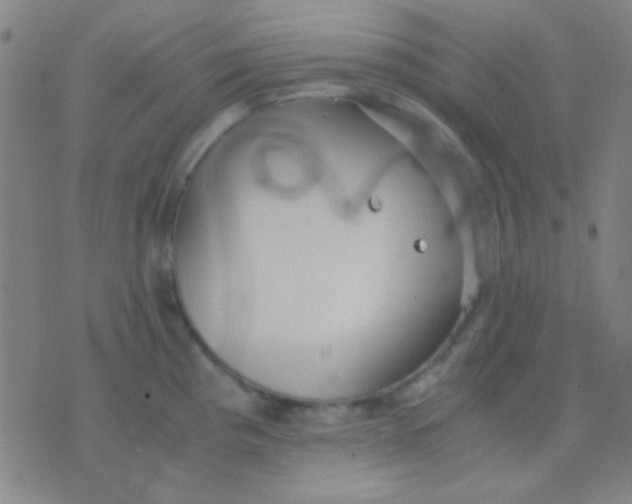 X0000075841193200610061839