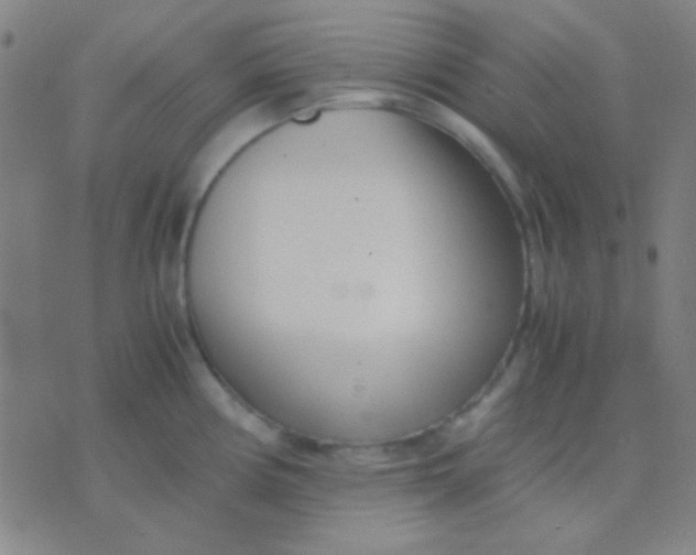 X0000075841194200610061839