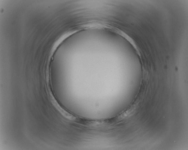 X0000075841195200610061839